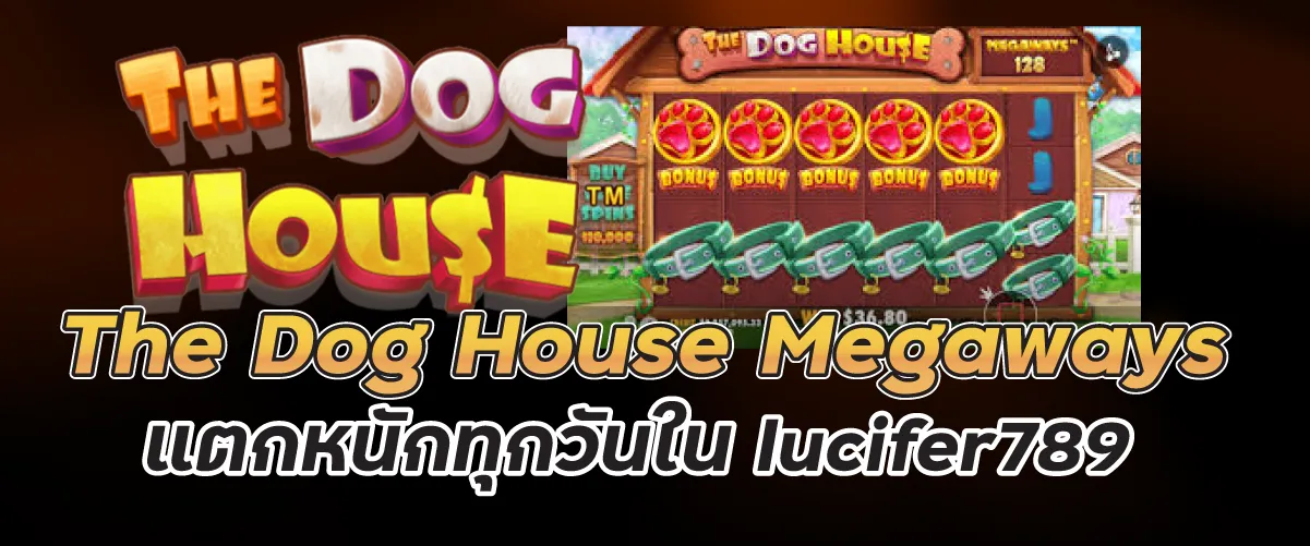 The Dog House Megaways แตกหนักทุกวันใน lucifer789